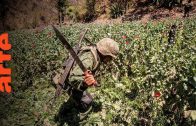 Mexico: Der Opium-Krieg | ARTE Reportage